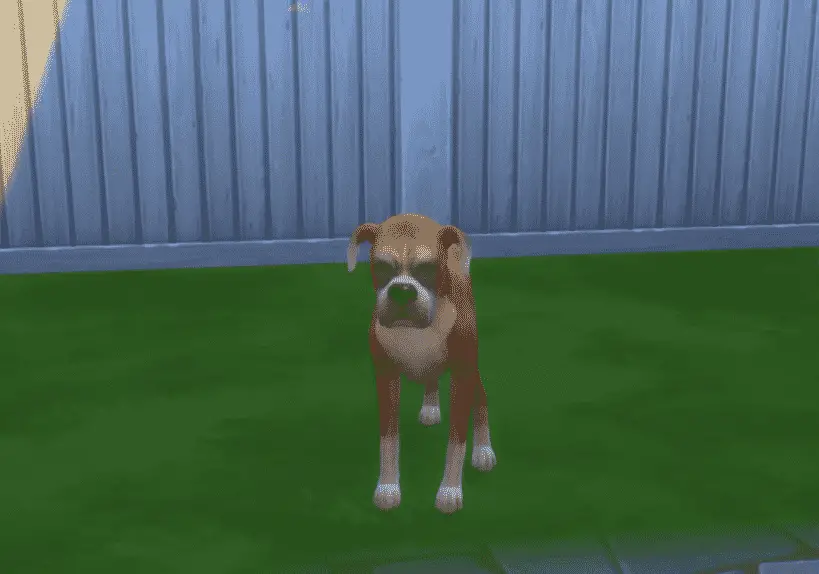 ¿Cómo pueden morir las mascotas? Los Sims 4