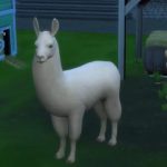 Sims 4 Cottage Living: ¡te encantarán las llamas!