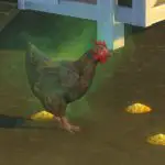 Los Sims 4: Cómo limpiar tus gallinas