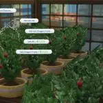 ¿Cuál es la planta que más paga en Sims 4?