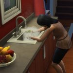 ¿Por qué mis Sims no lavan los platos en Sims 4?